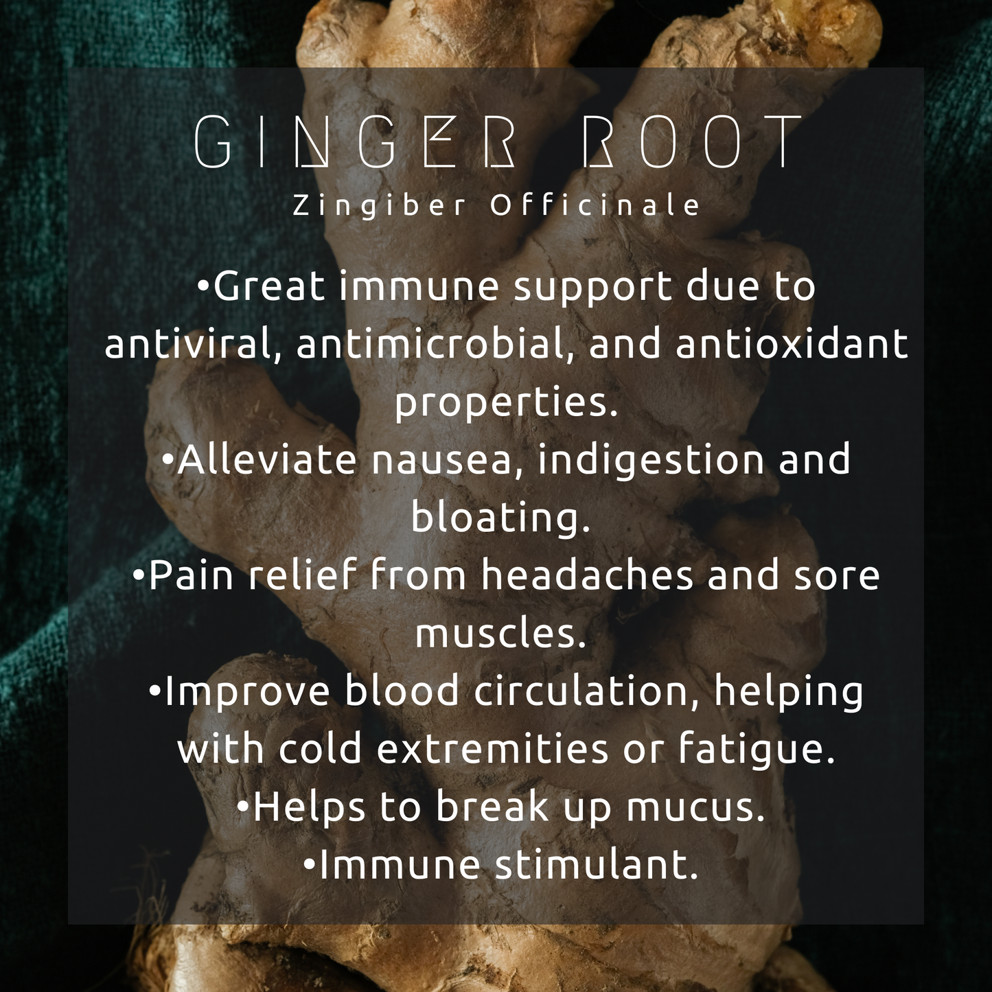 Immunity Booster