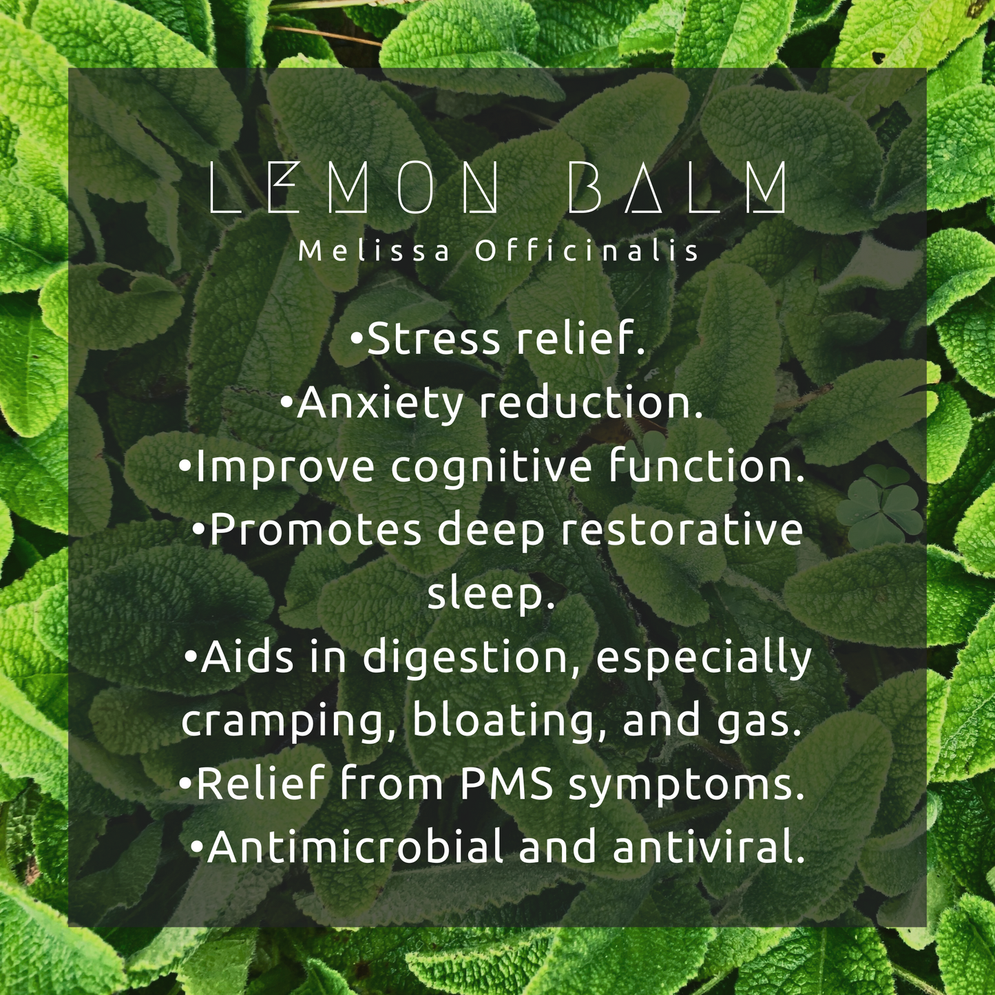 Deep Restorative Sleep Elixir