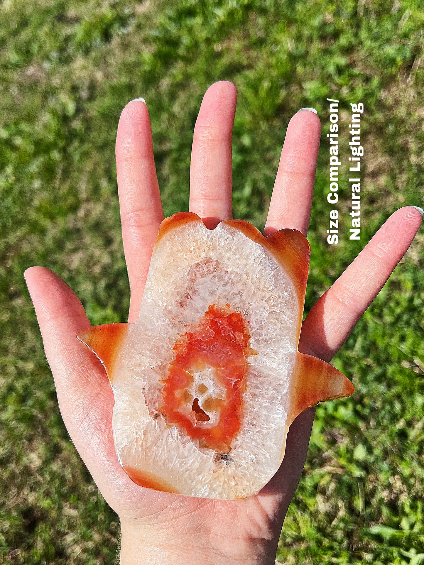 Medium Carnelian Crystal