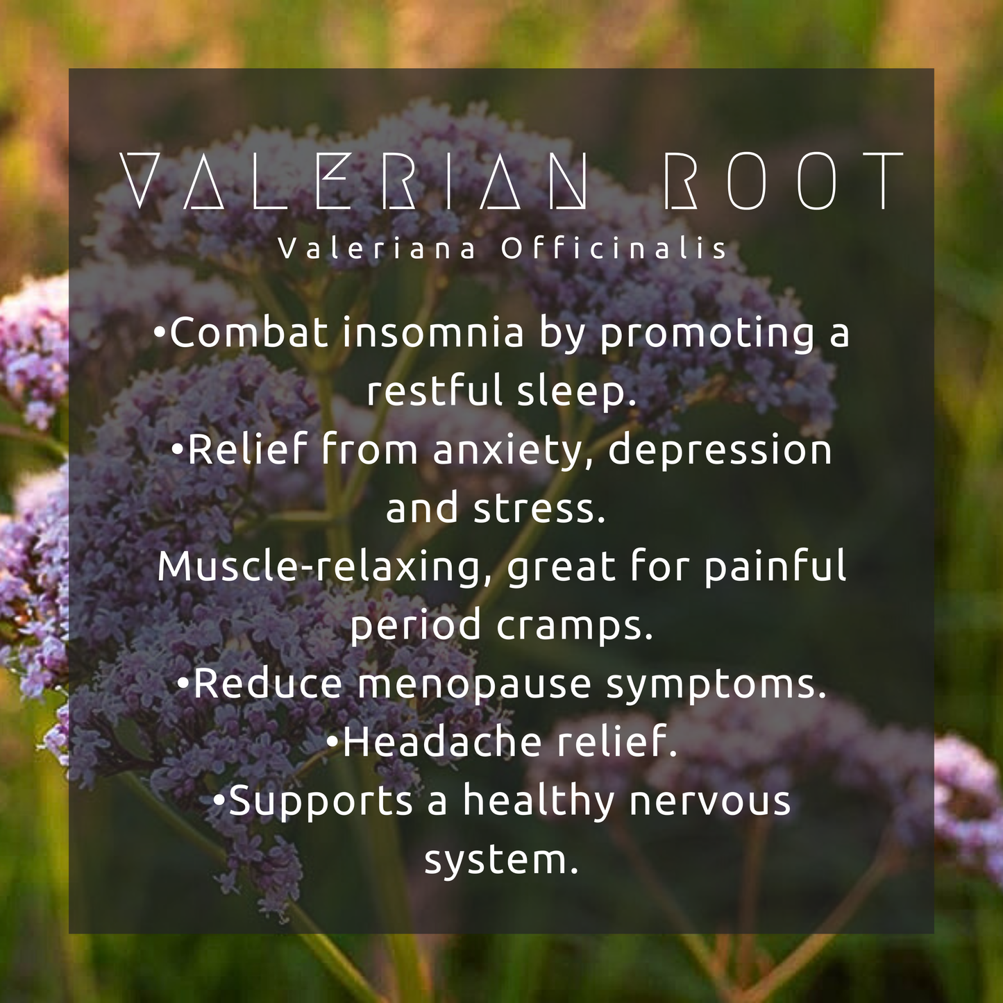 Deep Restorative Sleep Elixir