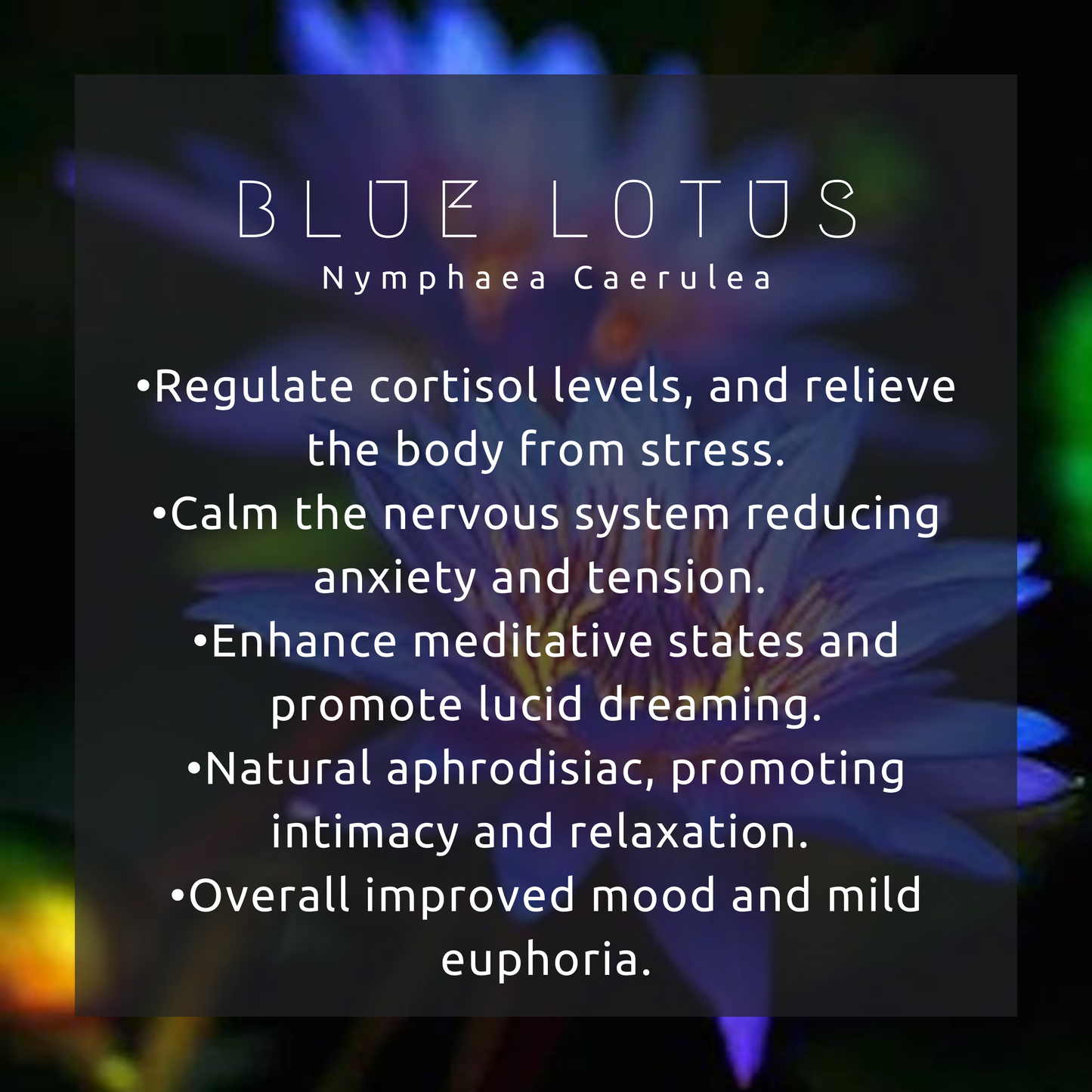 Blue Lotus Elixir