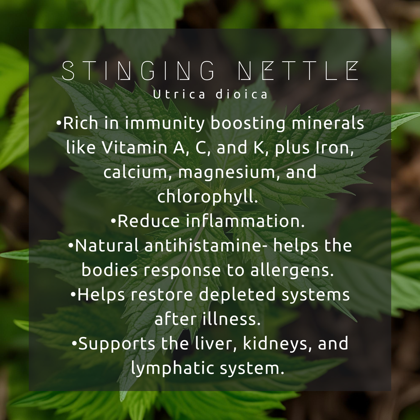 Immunity Booster