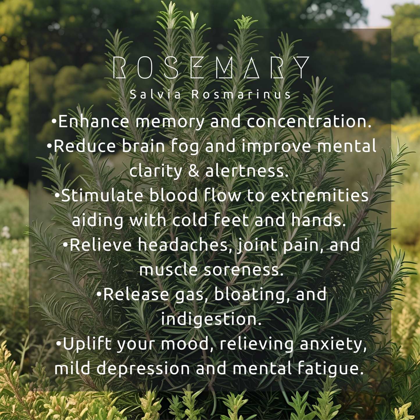 Rosemary Elixir