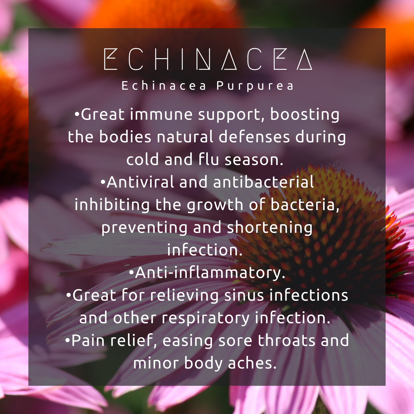 Immunity Boosting Elixir