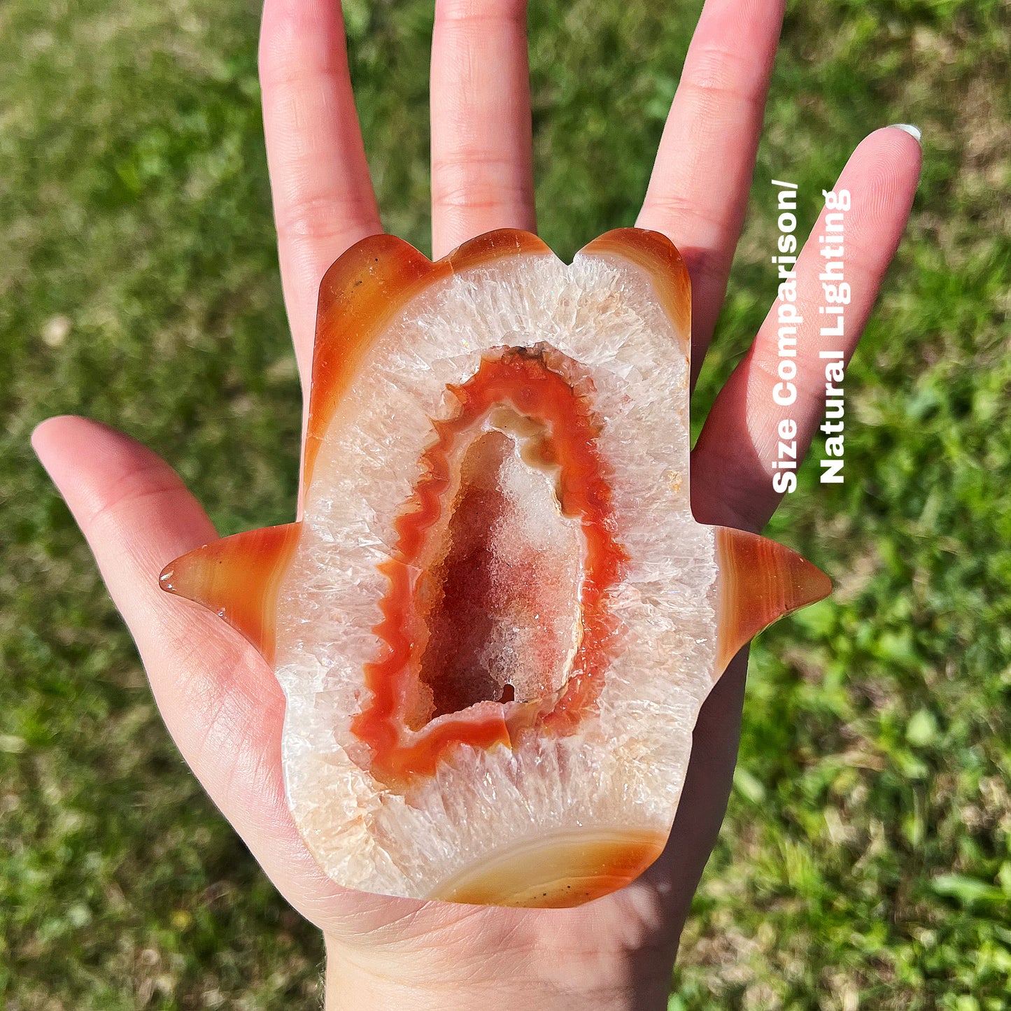 Medium Carnelian Crystal
