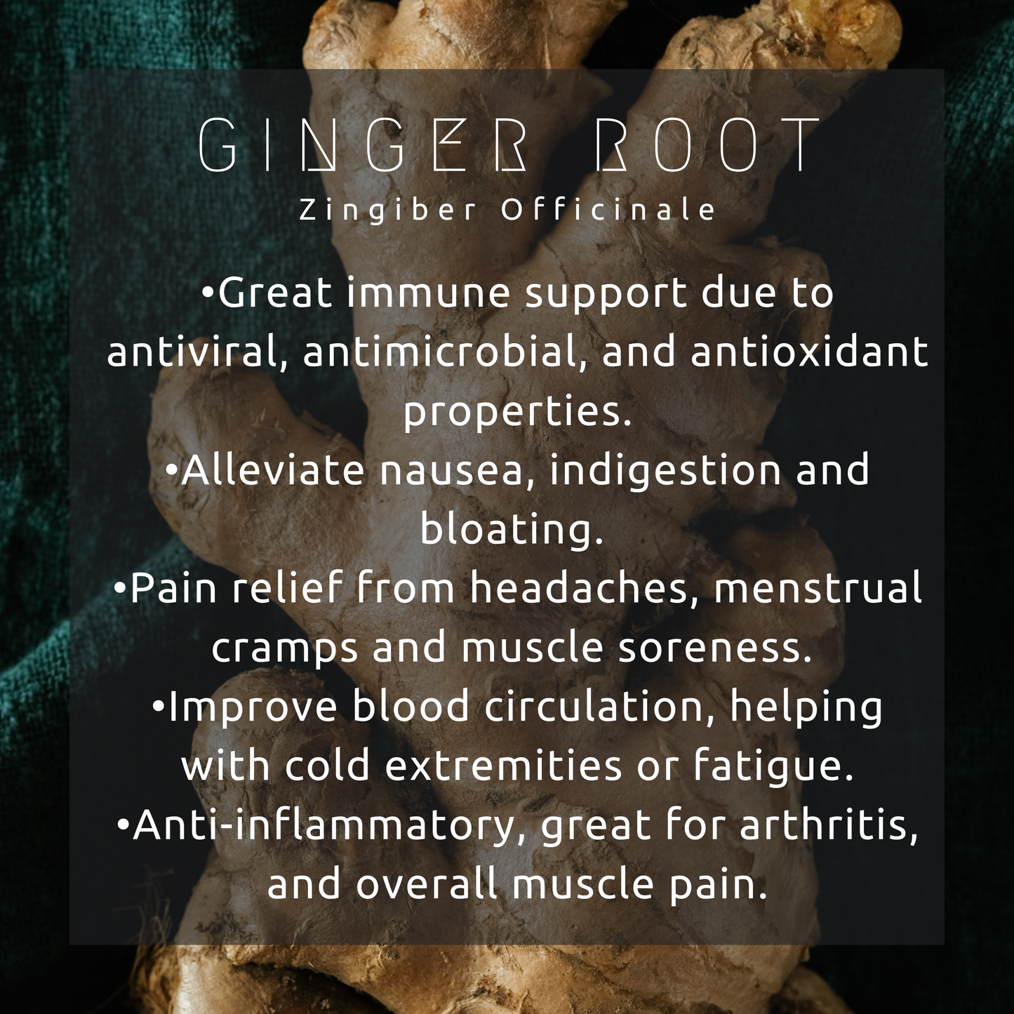 Immunity Boosting Elixir