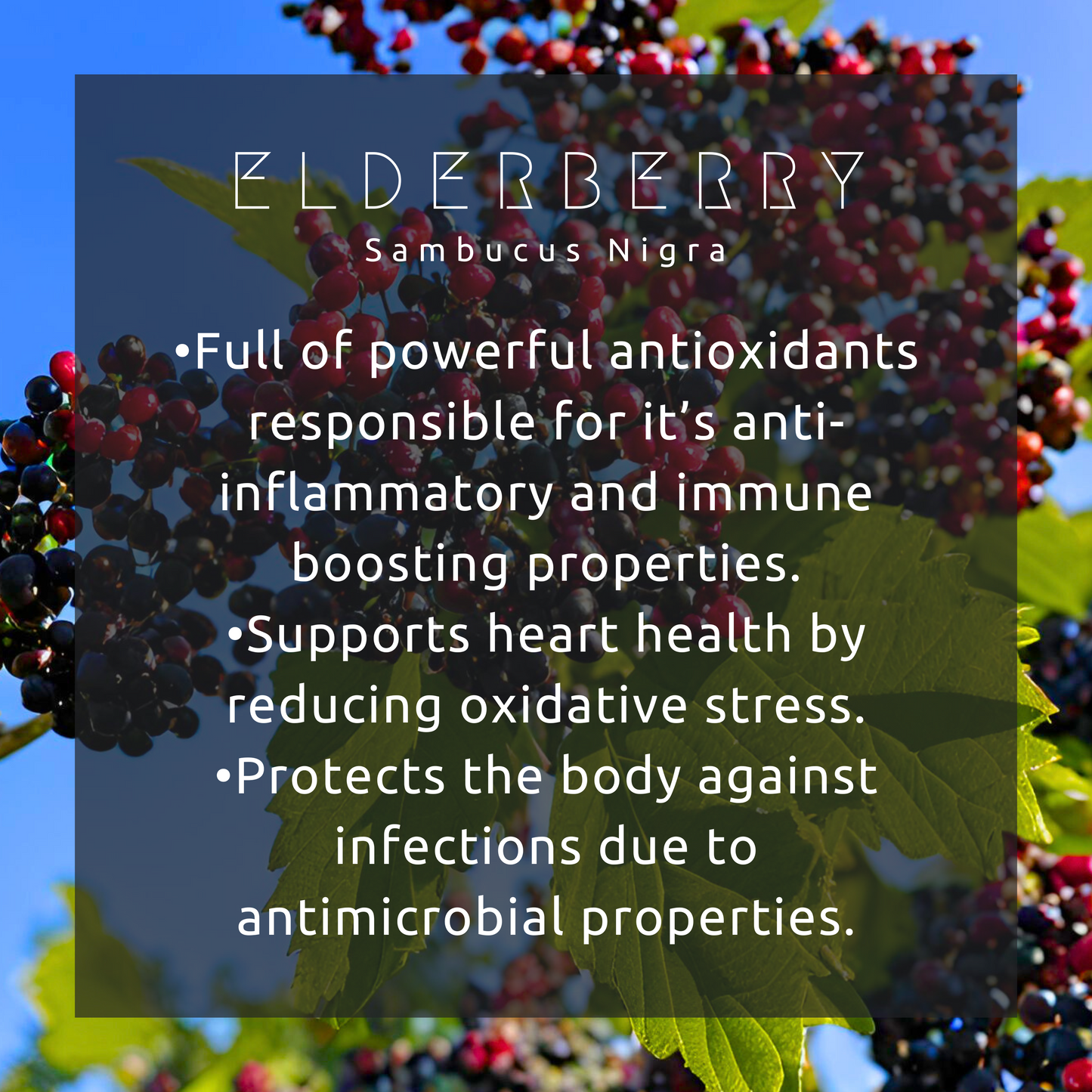 Immunity Boosting Elixir